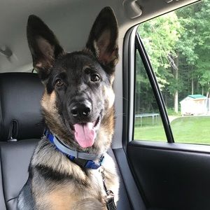 Meet your Posher, Andrea